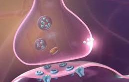 Αντιψυχωσικά – Τι πρέπει να γνωρίζετε